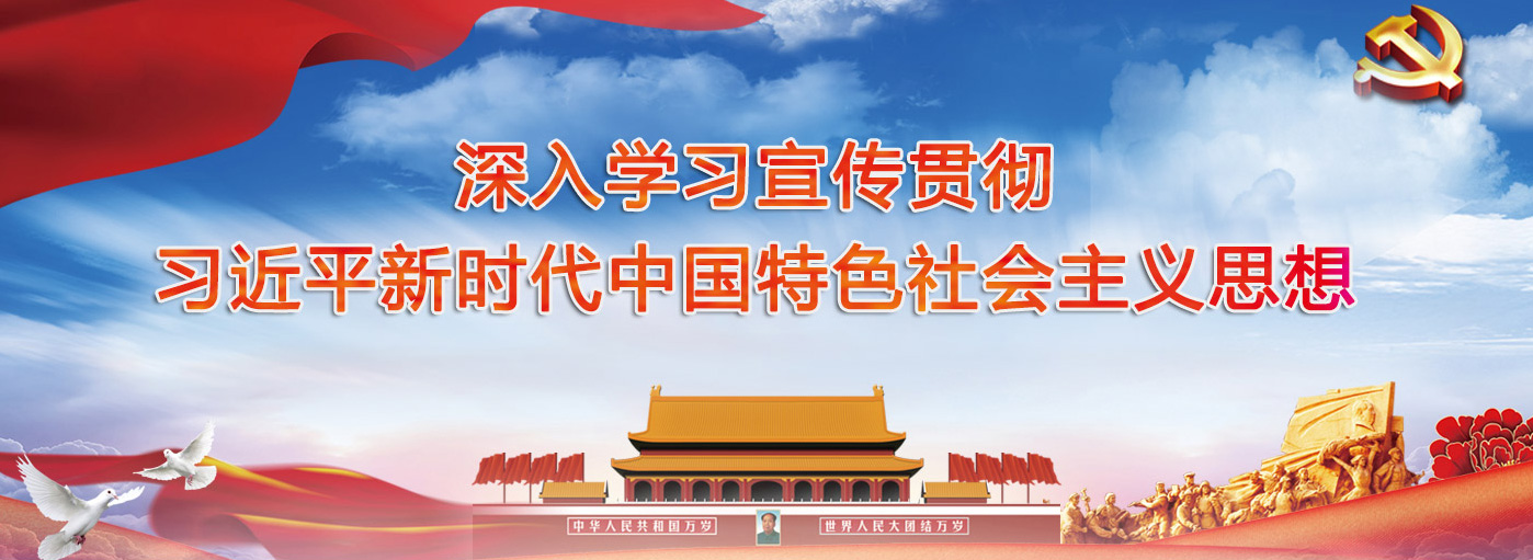 深入学习宣传贯彻习近平新时代中国特色社会主义思想—全力保证疫情防控和安全生产